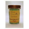 More Than A Candle More Than A Candle SMP8J 8 oz Jelly Jar Soy Candle; Smoky Mountain Pine SMP8J
